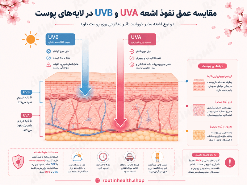 مقایسه عمق نفوذ اشعه UVA و UVB در لایههای پوست