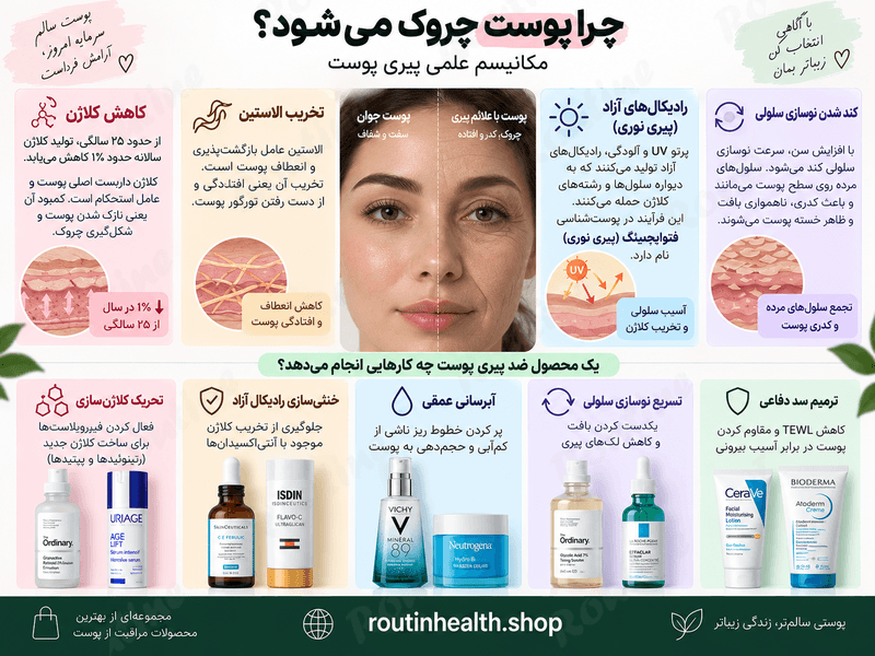 چرا پوست چروک میشود؟ (مکانیسم علمی پیری پوست)